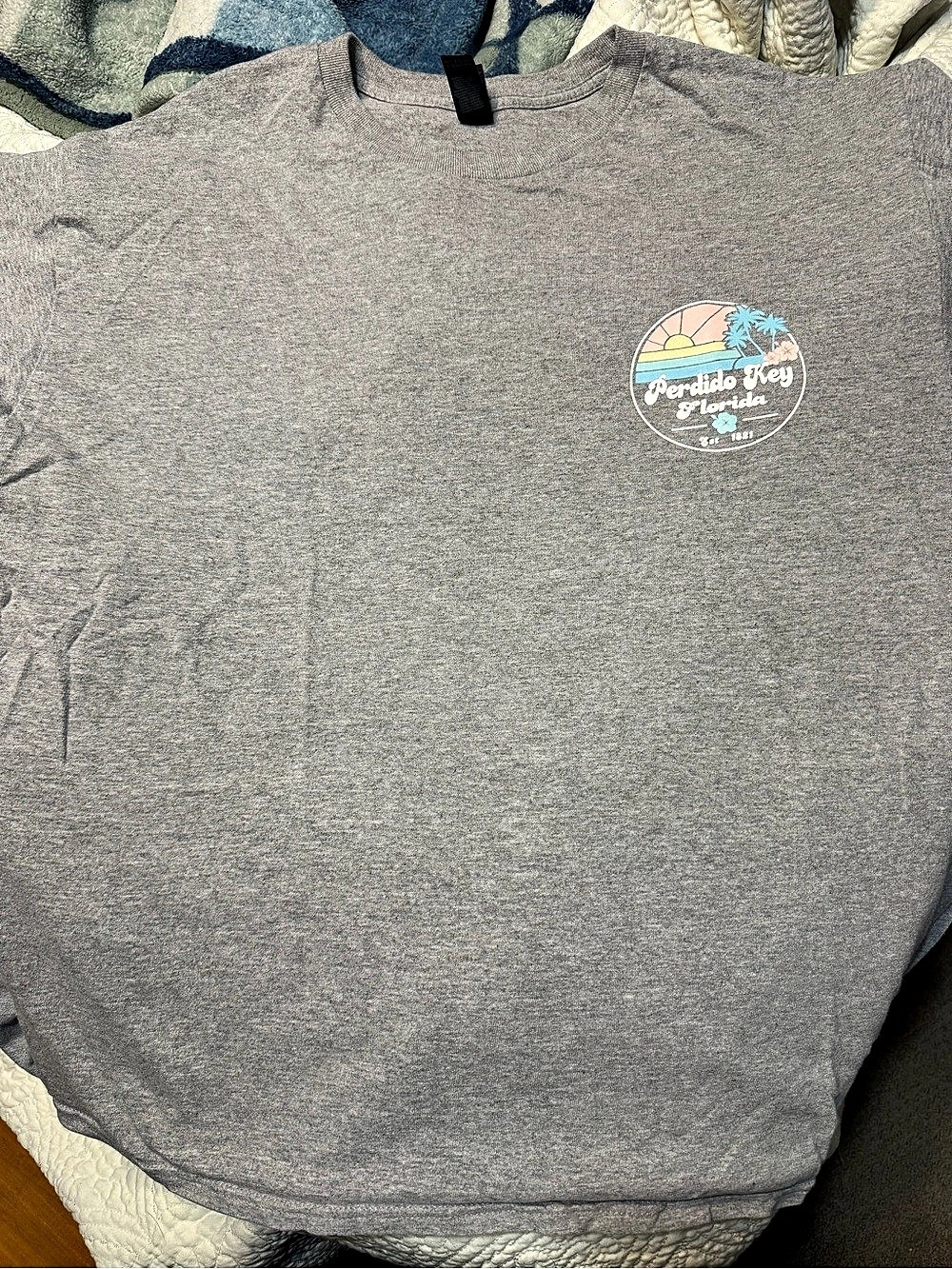Jerzees Graphic Tee in Gray Large
